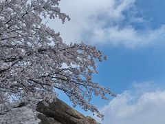 -崂山巨峰游览区