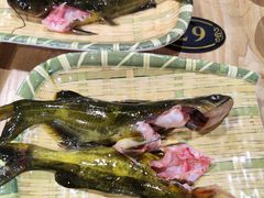 -铭记蛙小仙·活蛙畅享(CBD万达广场店)