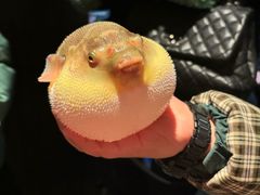 -永安鱼庄·镇江菜(东吴路店)