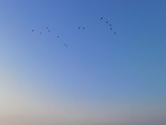 -东钱湖小普陀景区