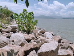 -深圳湾公园(南山区)