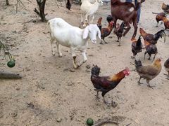 -北仑森林植物园