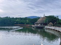 -清迈夜间动物园