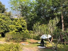 -中国科学院西双版纳热带植物园