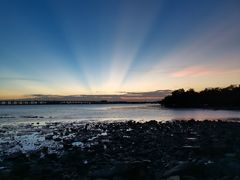 -宝安西湾红树林湿地公园