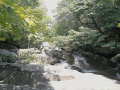-大围山国家森林公园
