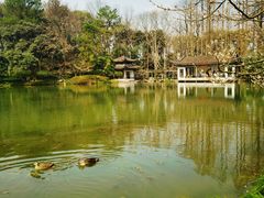 -杭州植物园