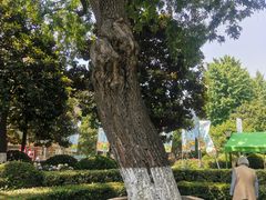 -常州古运河南大街文化旅游区-人民公园