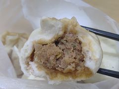 猪肉大葱-老陶包子铺(南大西南村店)