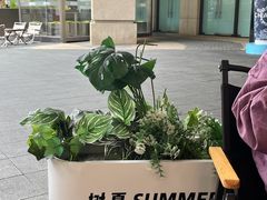 -树夏(金楠天街店)