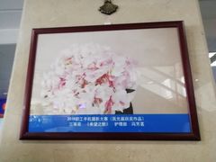 -上海市东方医院(总院)
