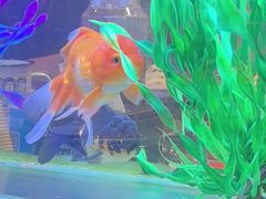 -粗粮人家·东北菜(洋桥店)