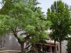 -山东大学(趵突泉校区)