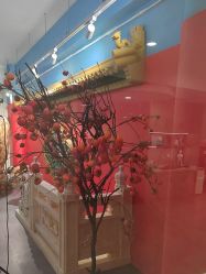 -星豆豆儿童摄影(南郊太白南路店)