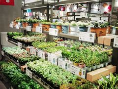 -鹿岛会员店(熙地港店)