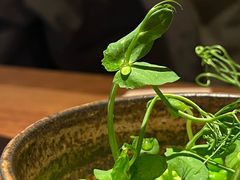 -元古雲境(南京万象天地店)