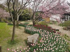 -苏州上方山国家森林公园