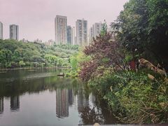-重庆彩云湖湿地公园