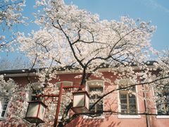 -浙江省杭州高级中学(贡院校区)