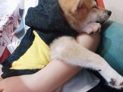 -猫色咖啡·猫咖