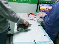 -半岛宠物医院24小时(科华中路店)