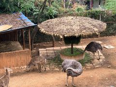 -昆明动物园