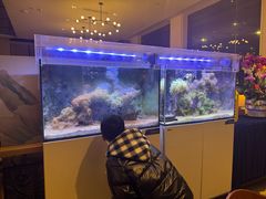 -大梅沙游艇度假酒店