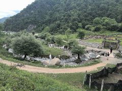 -狮子沟牧场