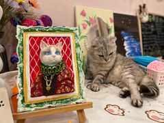 -猫咪派对(江南西店)