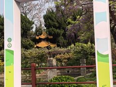 -嘉定紫藤园