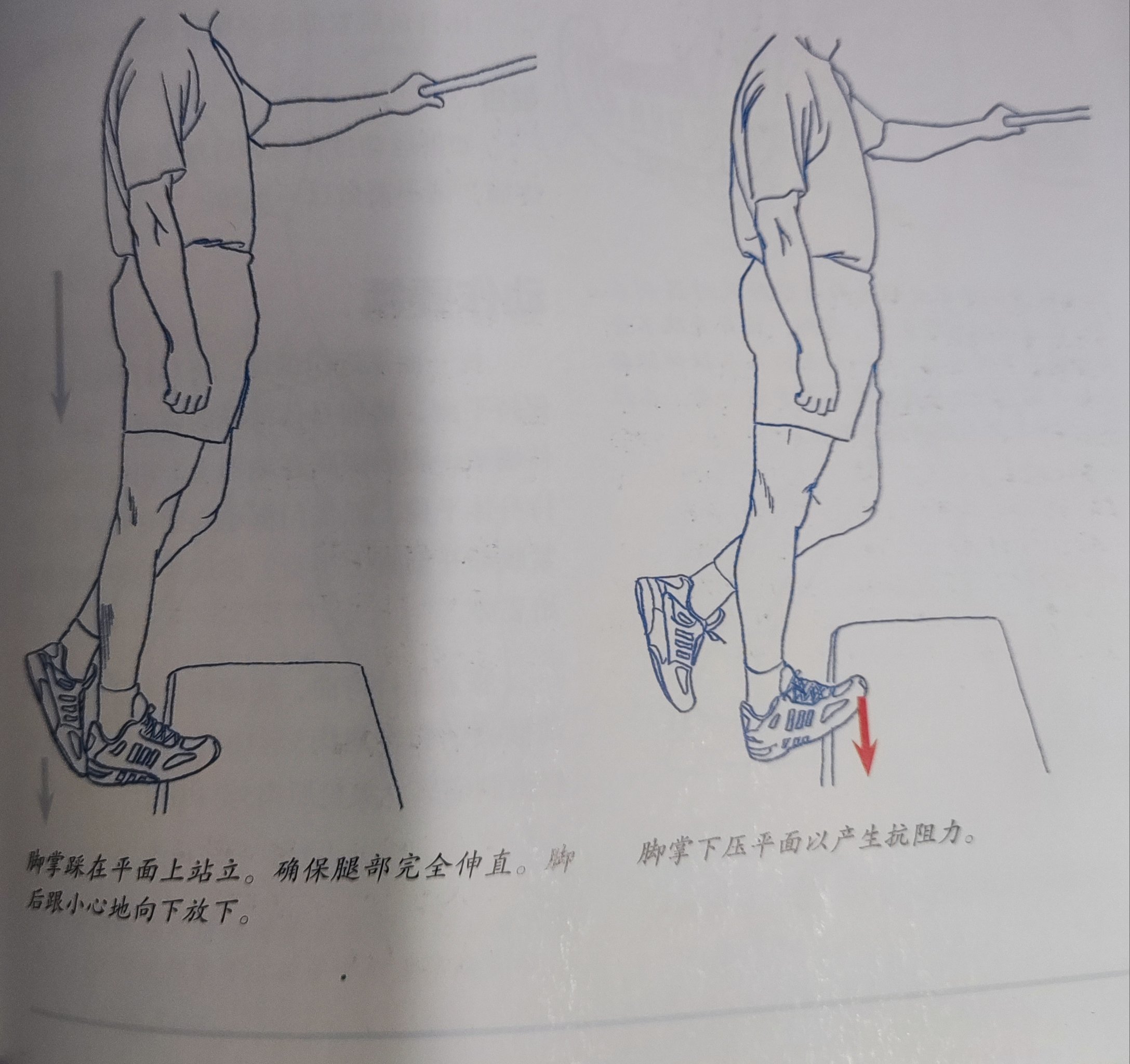 跑步拉伸必备2:腓肠肌