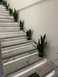 -海涛医疗美容·面部抗衰·注射美鼻