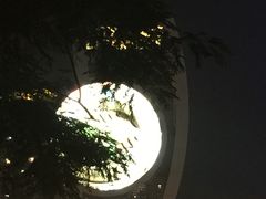 -永利澳门酒店