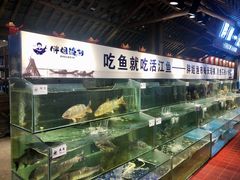 水产区-胖姐渔村(中源大道店)