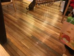 -猫的天空之城概念书店(杭州南宋御街店)