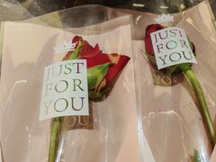 -宫燕府·京菜·烤鸭·淮扬菜(王府中心店)