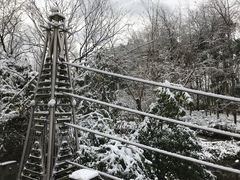 -苏州河梦清园环保主题公园