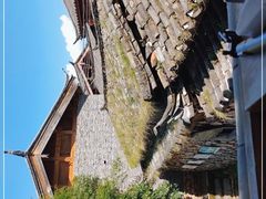 -田德能咖啡博物馆