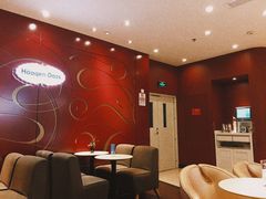 -哈根达斯(国瑞店)