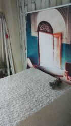 -星豆豆儿童摄影(南郊太白南路店)