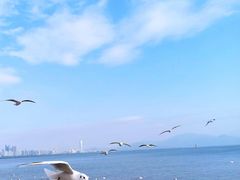 -深圳湾公园(南山区)