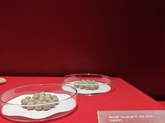 -中国港口博物馆