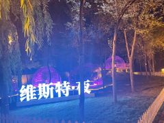 -维斯特·夜烤牛肋条任吃