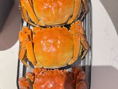 阳澄湖大闸蟹-黄记大闸蟹专卖店·活蟹·醉蟹