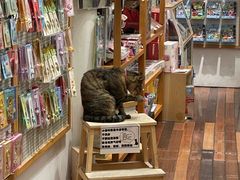 -猫的天空之城概念书店(杭州南宋御街店)