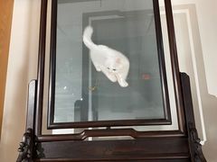 -姚建萍刺绣艺术馆