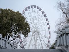 -顾村公园