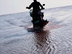 -红树林天天赶海
