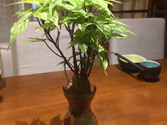 -十二舍·湯物素煮(江泰潤政店)