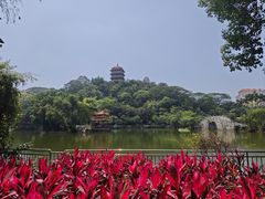 -长安公园